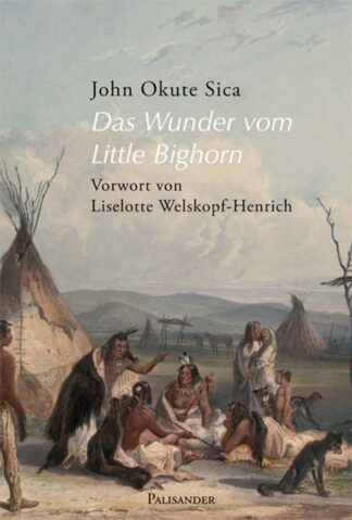 Cover Das Wunder vom Litte Bighorn